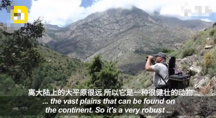 这个物种生存的地区