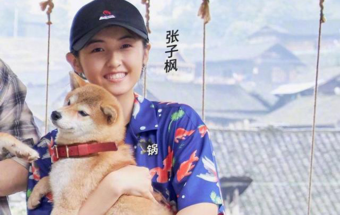 妹妹张子枫抱狗姿势