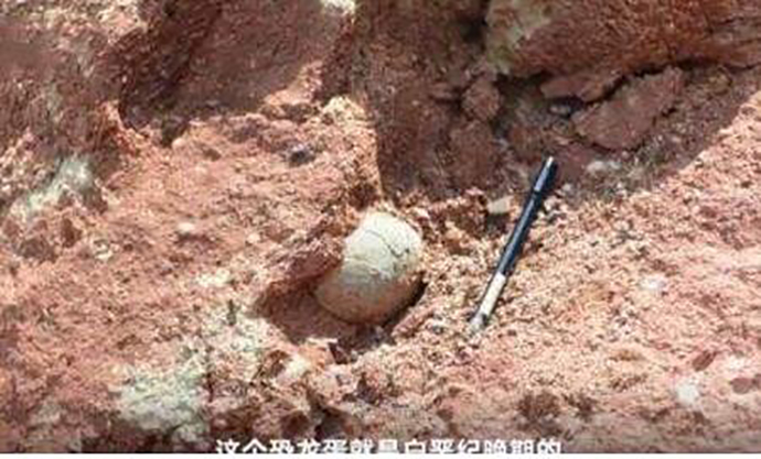 恐龙蛋化石属于白垩纪晚期
