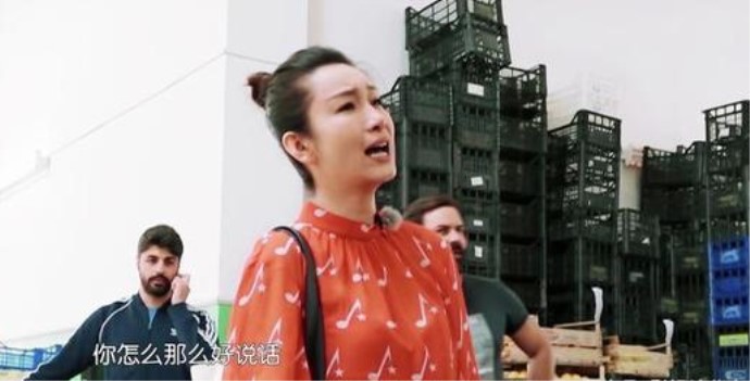 秦海璐