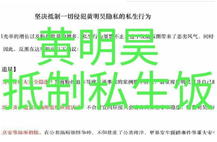 私生饭是什么意思