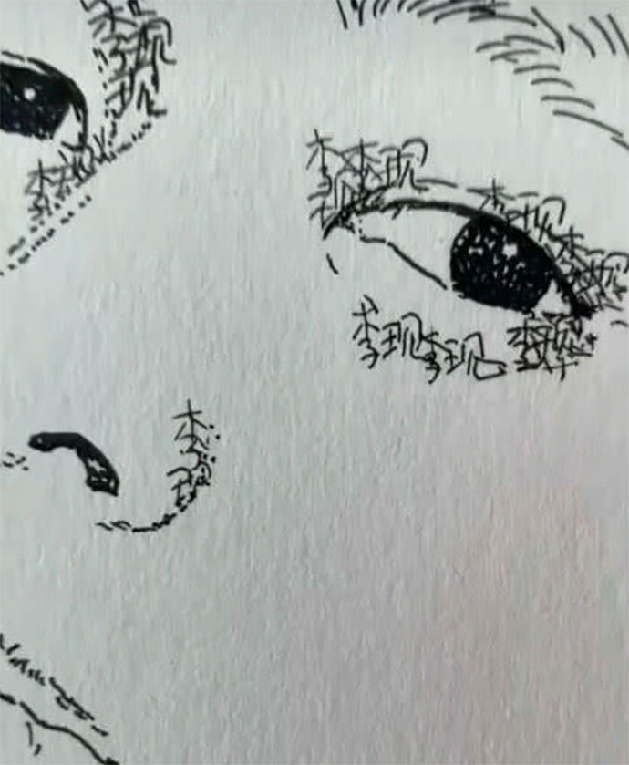 大部分由李现名字填充