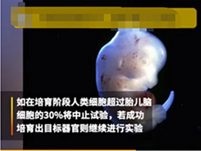 人兽杂交胚胎实验 获日本政府批准人兽杂交要用来干什么