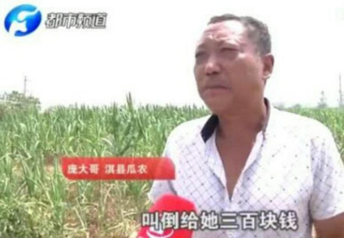 瓜农阻拦偷瓜贼造轻伤