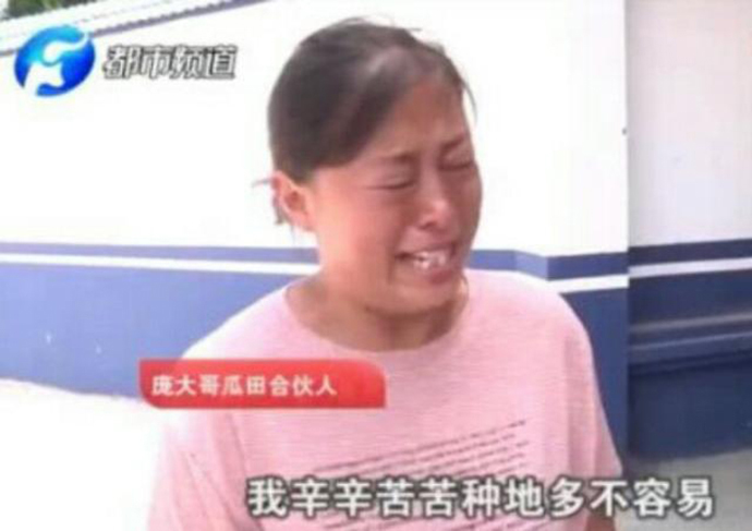 瓜农倒赔偷瓜贼三百元