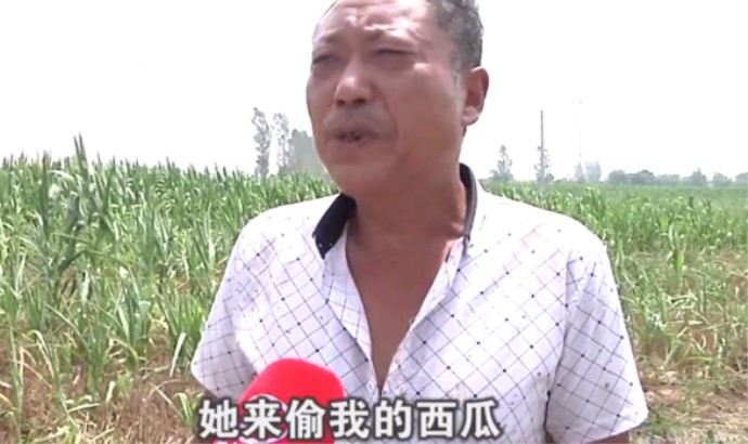 瓜农倒赔钱