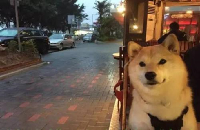 七夕又是一个人过？