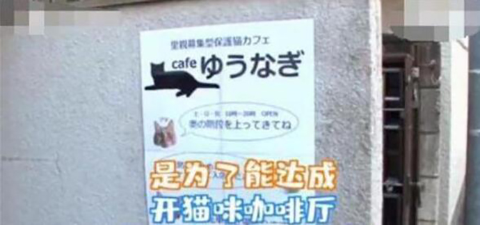 日本最省女孩咲的成功给人上了一堂课
