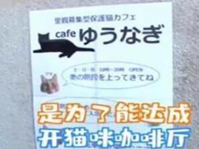 日本最省女孩 她的成功给我上了一堂重要的课