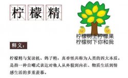 2019网络热词 网友表示这不就是我吗