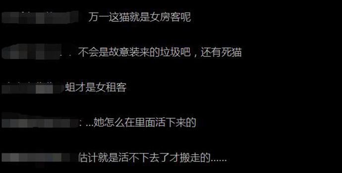 房内甚至有一只死猫