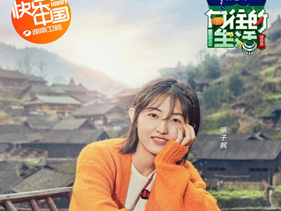 《向往的生活》 网友喷除了玩情怀还会干嘛