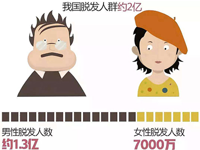 脱发人群超2.5亿 网友调侃植发行业“秃”如其来就火了