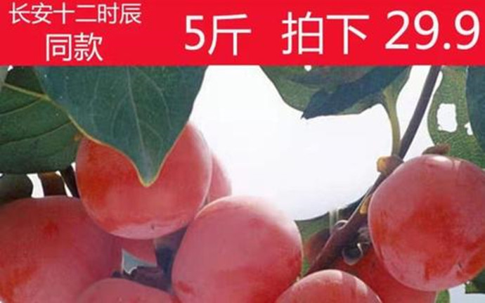 网上假冒的火晶柿子