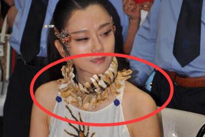 杨丽萍脖子上的装饰品