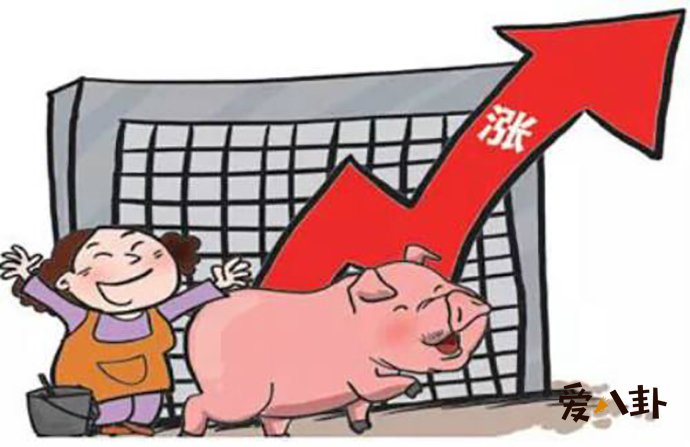 猪肉价格连涨12周