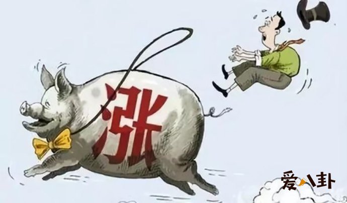 网友调侃表示要吃不起猪肉
