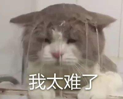 中国人不爱买衣服了 是真的吗网友评论道出真相