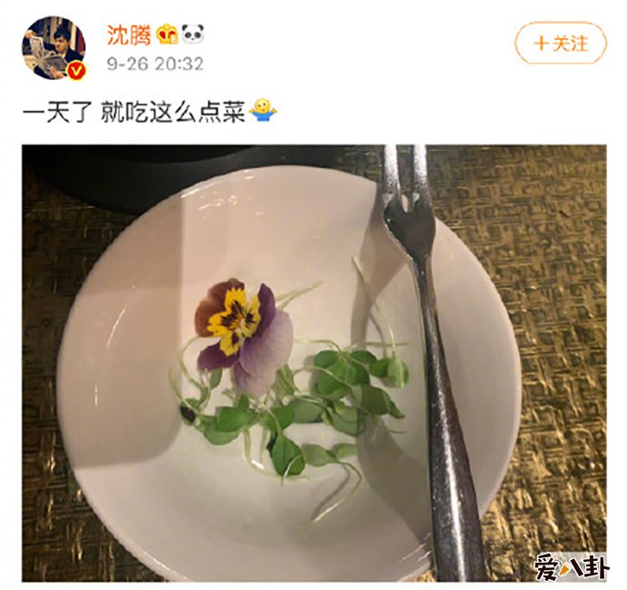 沈腾：一天就吃这么点菜