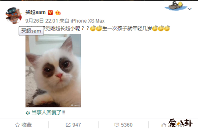买超发文夸张嘉倪