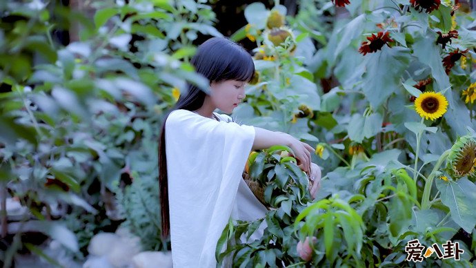 李子柒写真