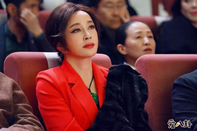 刘晓庆写真