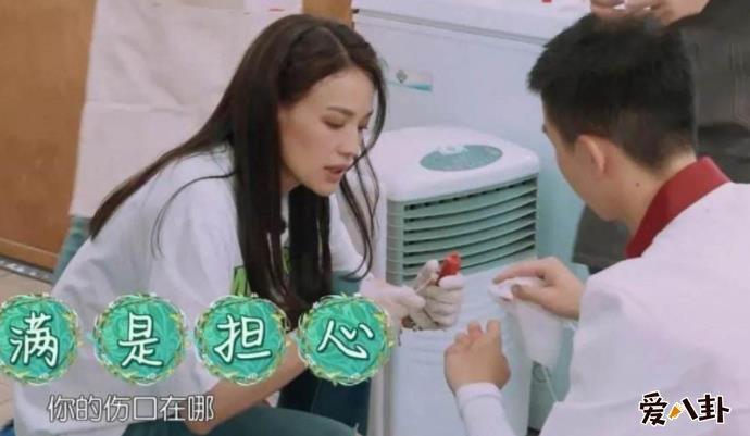舒淇白举纲