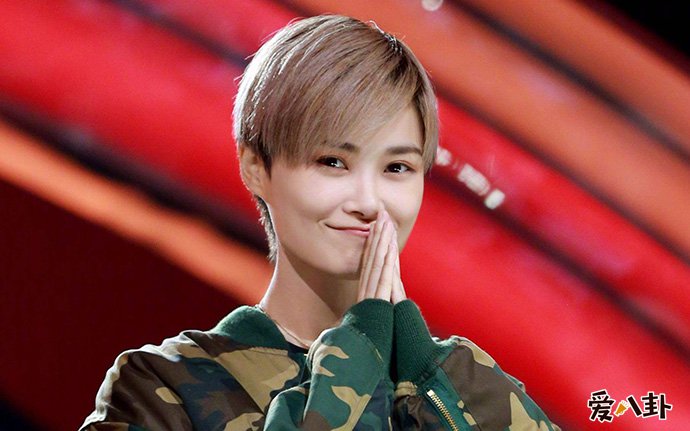对于网络暴力李宇春是如何反击的