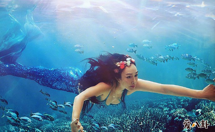 钟丽缇谈失败婚姻