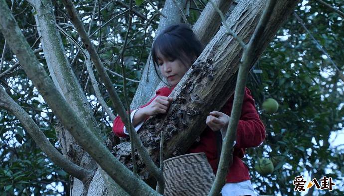 李子柒家到底住在哪里