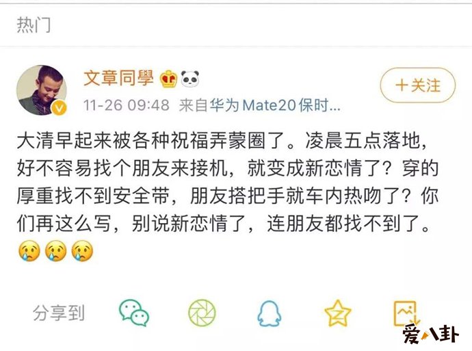 文章否认有新恋情