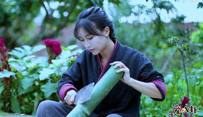 李子柒个人资料