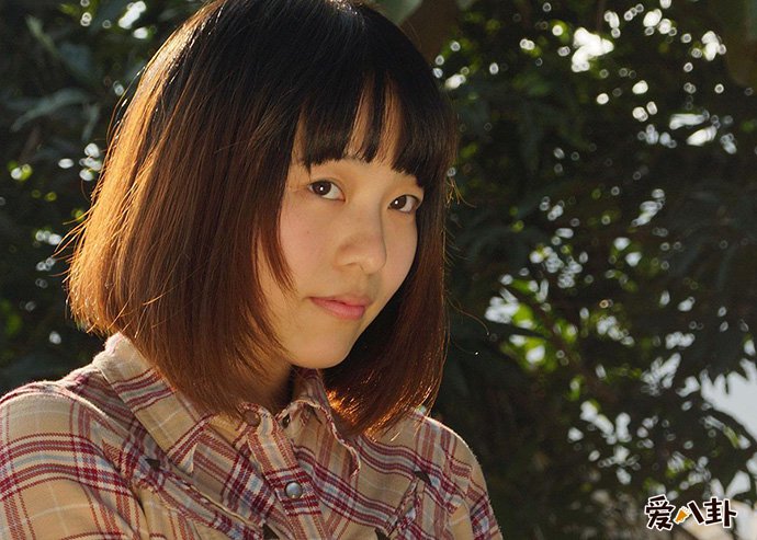 酒井法子资料