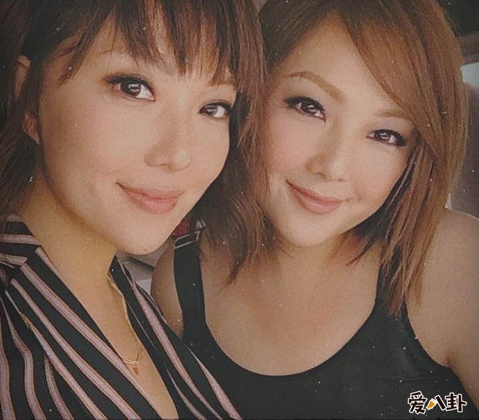 卫兰卫诗近况如何