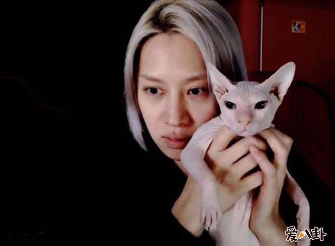 金希澈收养雪莉的猫 