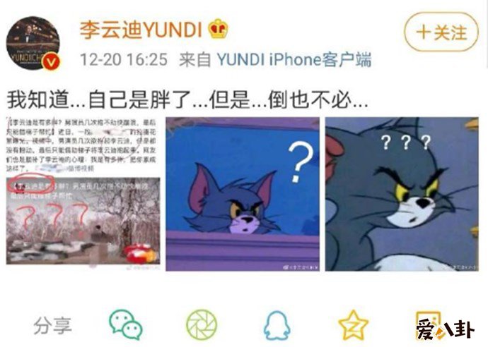 李云迪本人吐槽营销号