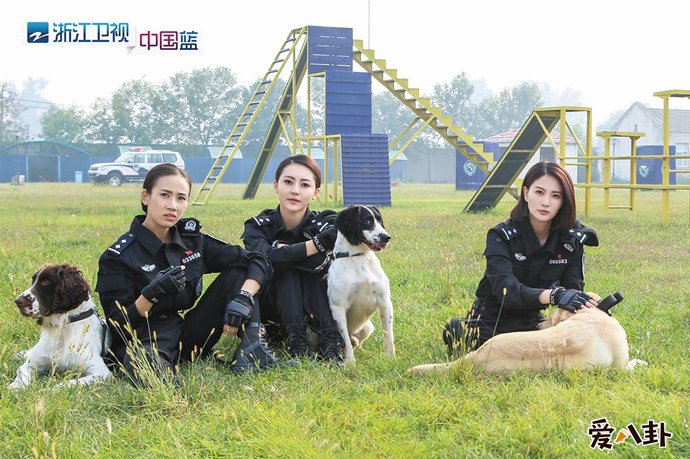 浙江卫视警花与警犬剧照