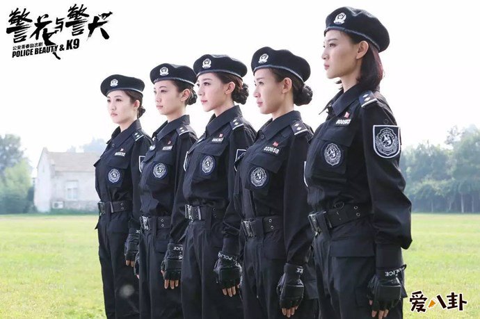 浙江卫视警花与警犬剧照