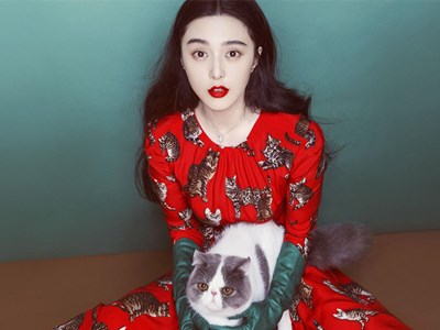 范冰冰到底有多少个亿 范爷败家比赚钱还猛三小时花一百万
