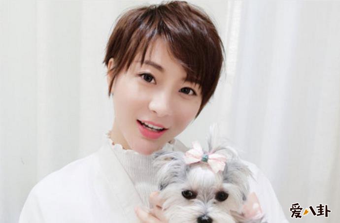 陈嘉上妻子夏沫侨