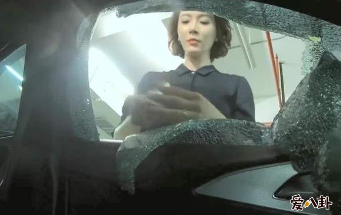 斯黛拉砸车搜证据