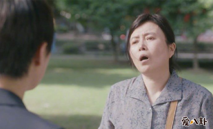 安家房似锦结局
