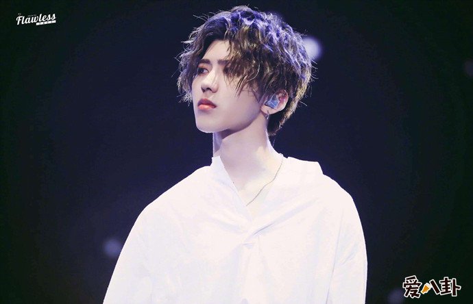 人气小鲜肉流量明星蔡徐坤