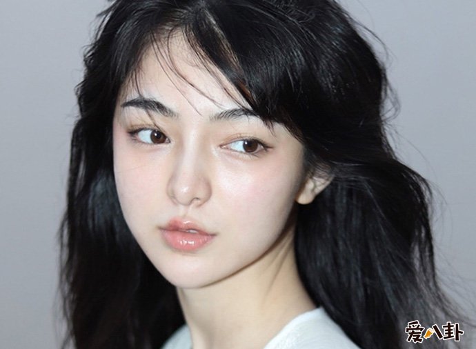 参考半藏深林是什么梗
