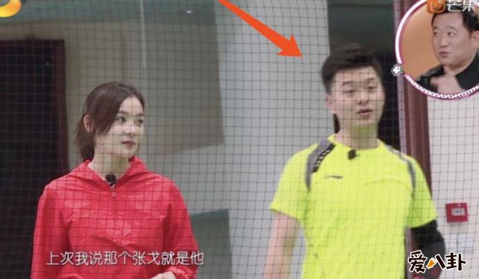 张戈个人资料