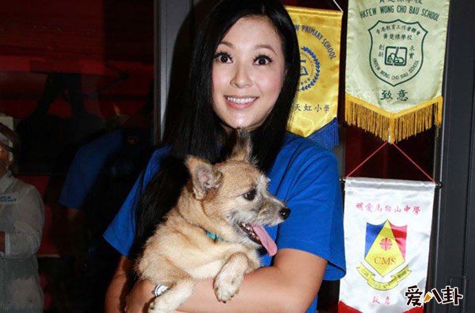 叶建波和傅明宪离婚的原因