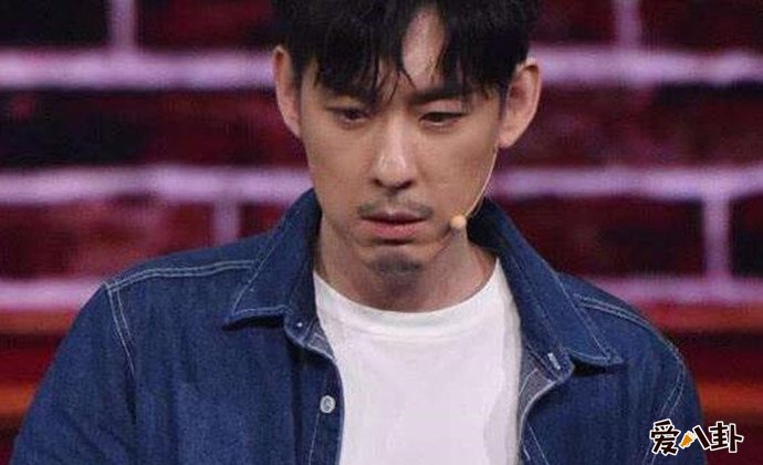 演员刘欢演为什么不红