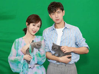 杨紫跪舔资源合作李现 两人能否再现cp