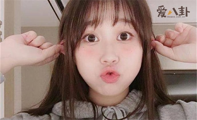 高秋梓资料简介