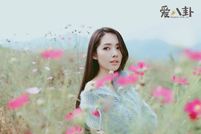 向太为什么不愿意公布怀孕